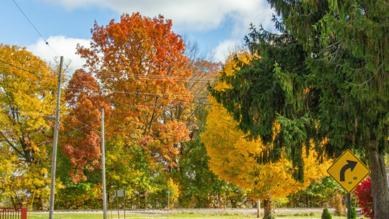 April 2021: Neighborhood Newsletter