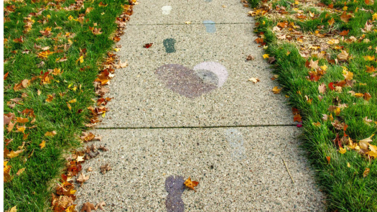 May 2021: Neighborhood Newsletter
